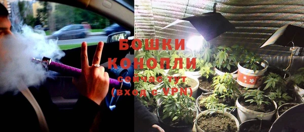 стаф Белокуриха